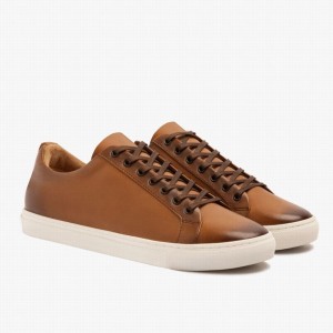 Sneakers Basse Thursday Boots Premier Uomo Toffee | TNK3248UE