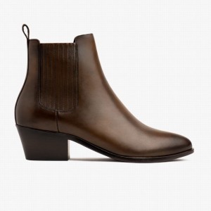 Stivaletti Thursday Boots Dreamer Donna Cioccolato | NGJ4050UP