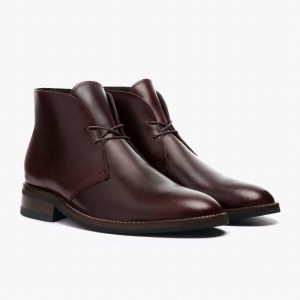 Stivali Stringati Thursday Boots Scout Uomo Marroni | EEY5149KM