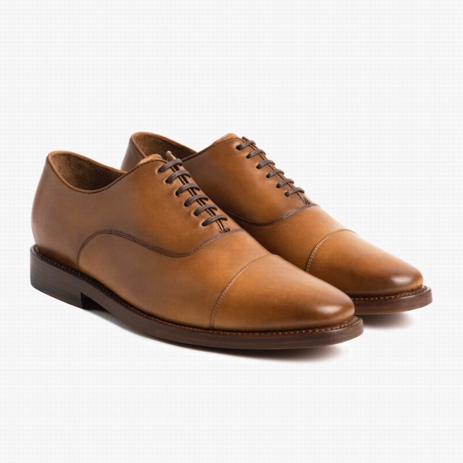 Scarpe da Sera Thursday Boots Executive Uomo Marroni | BHX1063IQ