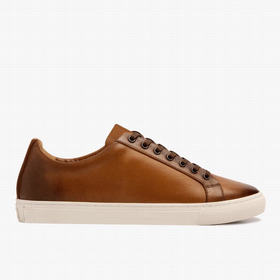 Sneakers Basse Thursday Boots Premier Uomo Toffee | TNK3248UE