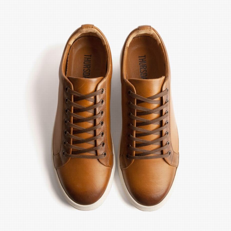 Sneakers Basse Thursday Boots Premier Uomo Toffee | TNK3248UE