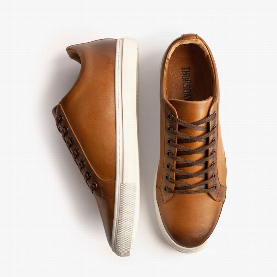 Sneakers Basse Thursday Boots Premier Uomo Toffee | TNK3248UE