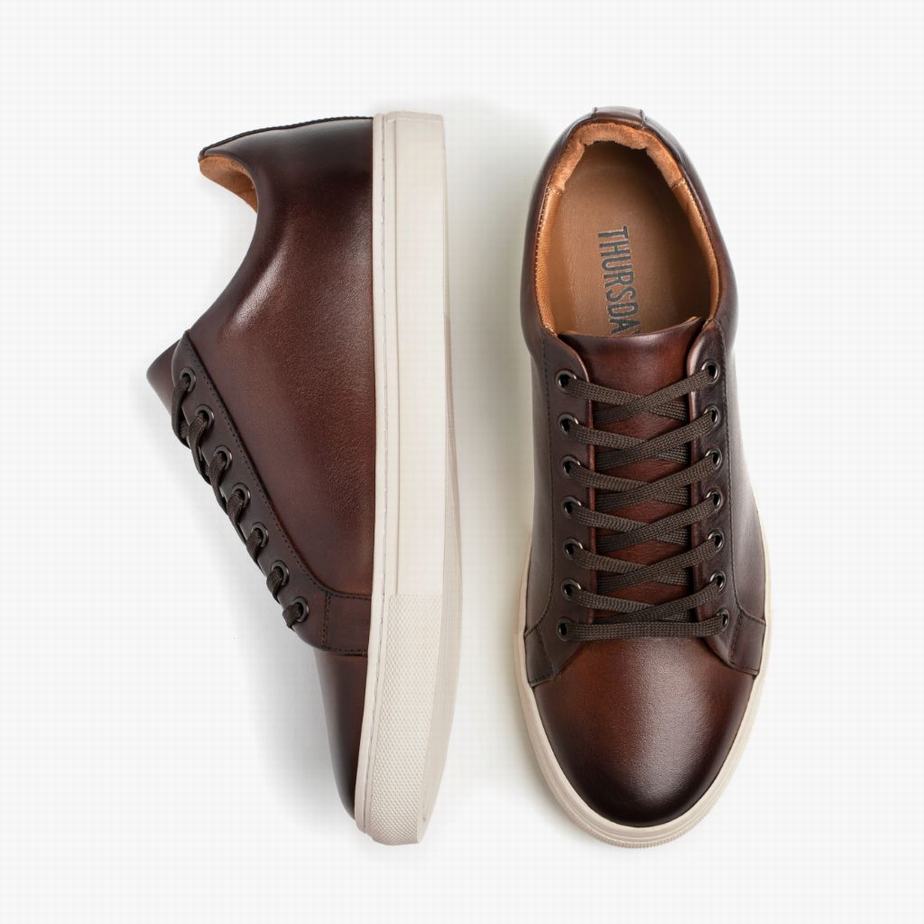 Sneakers Basse Thursday Boots Premier Uomo Caffè | YQE9695YA