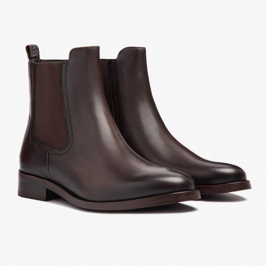 Stivaletti Chelsea Thursday Boots Duchess Donna Nere Caffè | YIA9525EQ