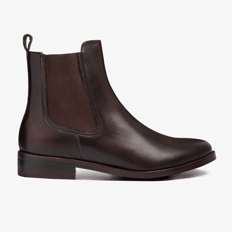 Stivaletti Chelsea Thursday Boots Duchess Donna Nere Caffè | YIA9525EQ