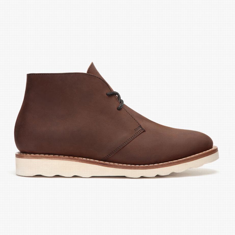 Stivali Chukka Thursday Boots Scout Uomo Cioccolato | XLS9768SH