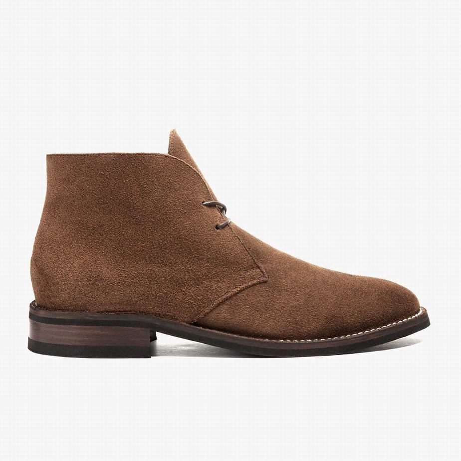 Stivali Chukka Thursday Boots Scout Uomo Marroni | RPC923XP