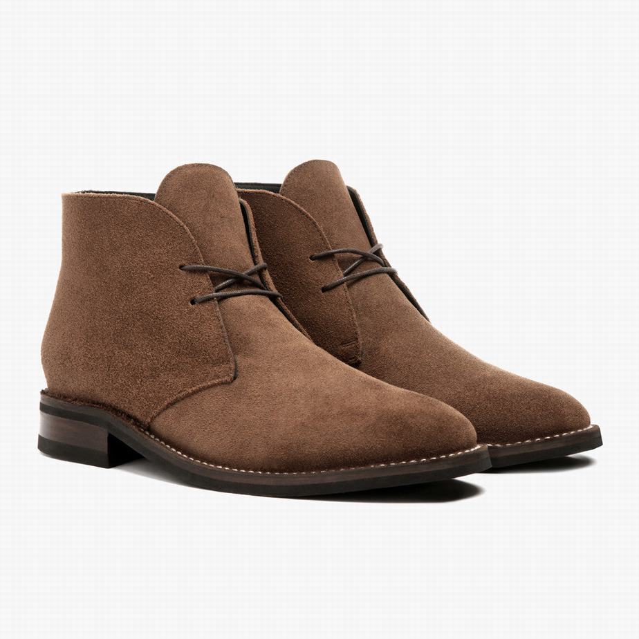 Stivali Chukka Thursday Boots Scout Uomo Marroni | RPC923XP