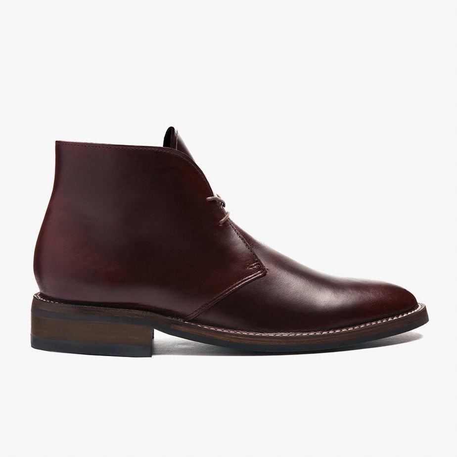 Stivali Chukka Thursday Boots Scout Uomo Marroni | ZHW319LI