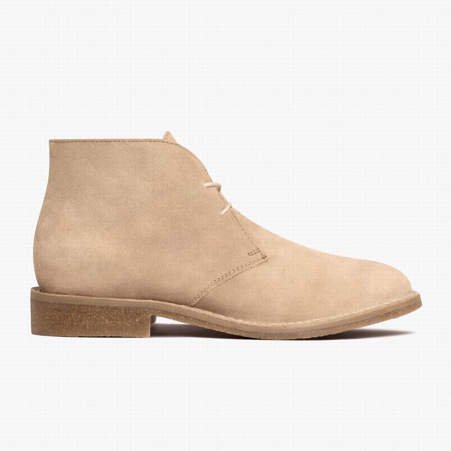 Stivali Chukka Thursday Boots Scout Uomo Dune | IZO7352RJ