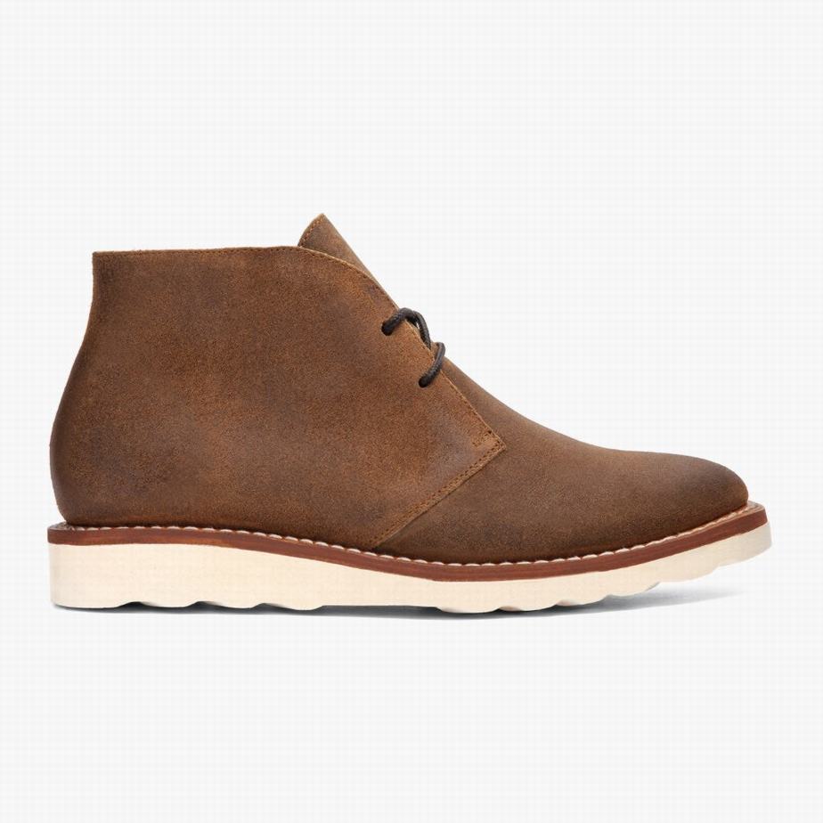 Stivali Chukka Thursday Boots Scout Uomo Safari | JFY1460YQ