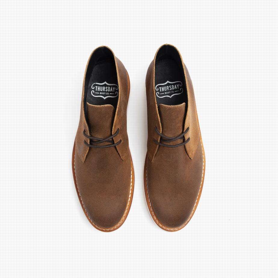 Stivali Chukka Thursday Boots Scout Uomo Safari | JFY1460YQ