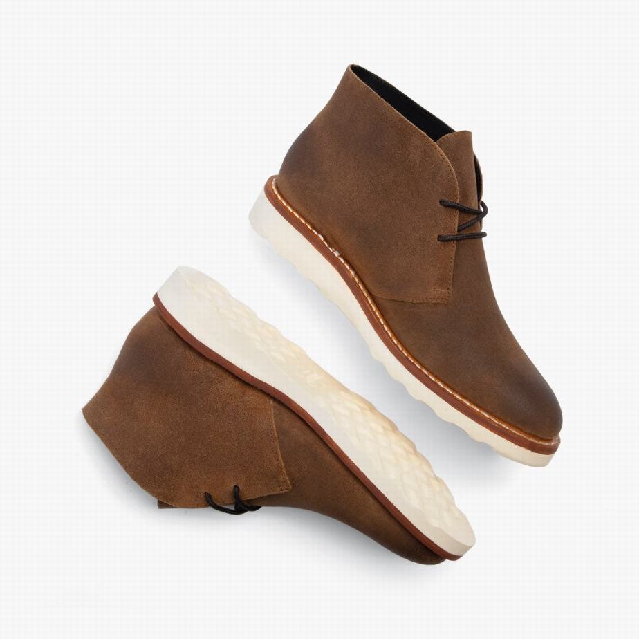 Stivali Chukka Thursday Boots Scout Uomo Safari | JFY1460YQ