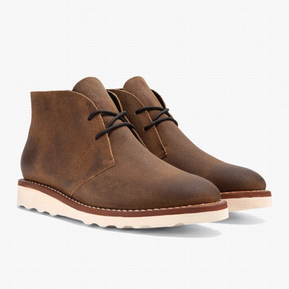 Stivali Chukka Thursday Boots Scout Uomo Safari | JFY1460YQ