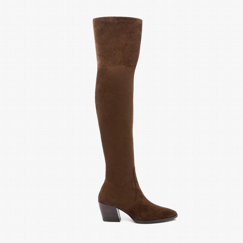 Stivali Sopra Ginocchio Thursday Boots Tempest Donna Cioccolato | AIV745QX