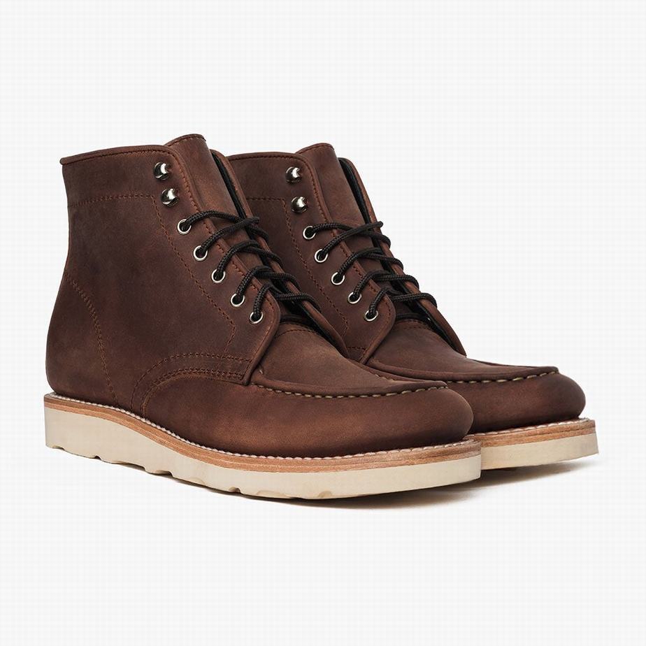 Stivali Stringati Thursday Boots Diplomat Uomo Cioccolato | ZSW3390PN